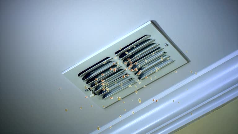 Best Affordable HVAC Duct Cleaning  in Dundee, OR